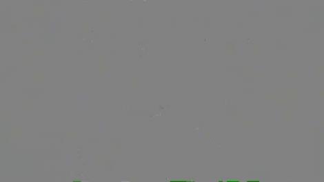 O tânără frumoasă, cu ochii verzi și buzele senzuale,le-a purtat noroc Andreei și lui Mihai. Cei doi soți au ghicit din prima!