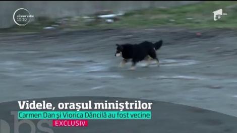 Videle, micul oraş care a dat deja patru miniştri României, dar şi prima femeie prim-ministru