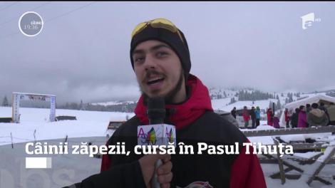 Zeci de atejale trase de Husky s-au aliniat la start, în Pasul Tihuţa