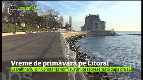 Vremea se dă peste cap! Temperaturi de primăvară, la malul mării, și plimbări pe faleză, în mijlocul iernii