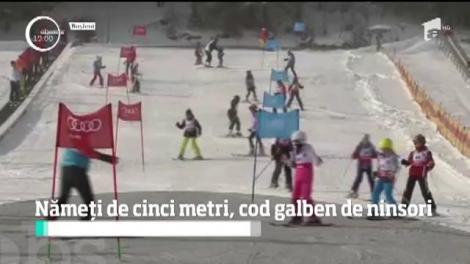 22 de judeţe sunt sub COD GALBEN de ninsoare şi viscol. Zăpada atinge aproape cinci metri