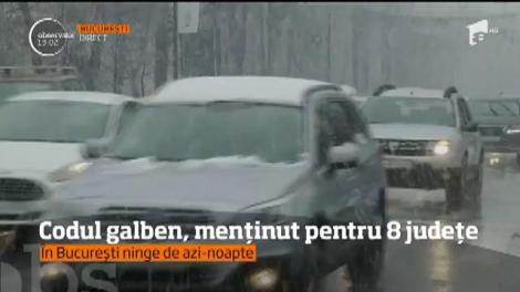 8 judeţe din sud-estul ţării sunt în continuare sub valul de ninsori