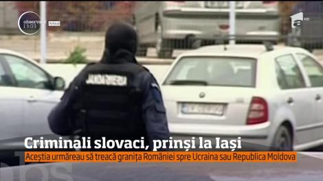 Doi criminali deosebit de periculoşi au fost prinşi în judeţul Iaşi