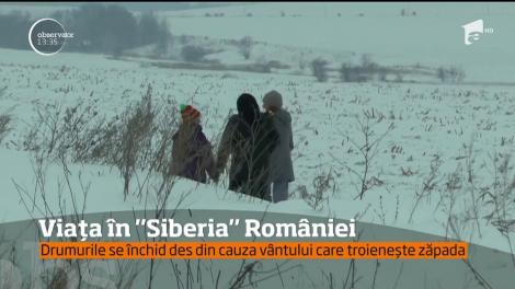 Temperaturi de Siberia şi vânt de Sahara