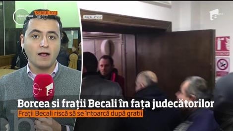 Fraţii Becali şi Cristi Borcea au ajuns în faţa judecătorilor