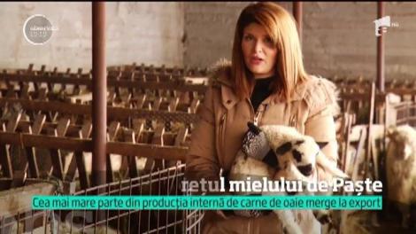 Mielul de pe masa de Paşte va fi mai ieftin decât cel de anul trecut