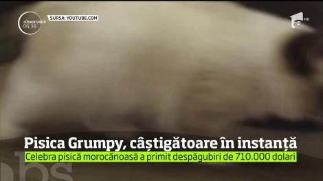 Celebra pisică Grumpy este mai bogată cu peste 700.000 de dolari, după ce a câştigat un proces pentru încălcarea drepturilor de imagine