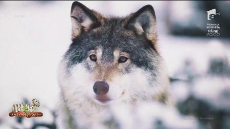 Cele mai interesante activități pentru finalul de săptămână