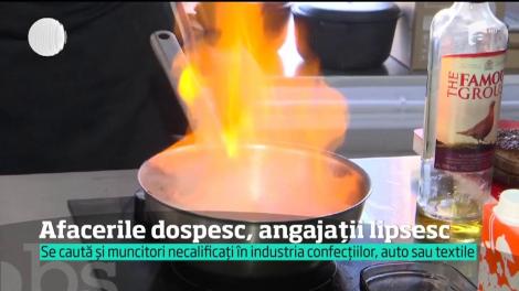 Ţară, ţară, căutăm angajaţi! Mii de oferte de muncă atât pentru profesionişti, cât şi pentru muncitorii necalificaţi. Lista cu cele mai căutate profesii