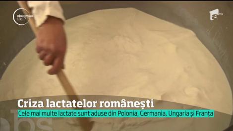 Lactatele aduse din Polonia, Germania, Ungaria și Franța sunt mai ieftine ca produsele românești