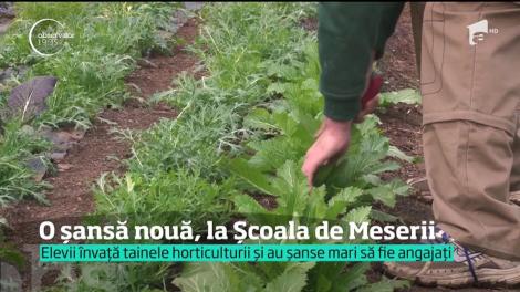 O șansă nouă, la Școala de Meserii! Elevii învață tainele horticulturii
