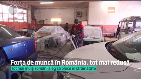 Invazie de muncitori străini pe piaţa forţei de muncă