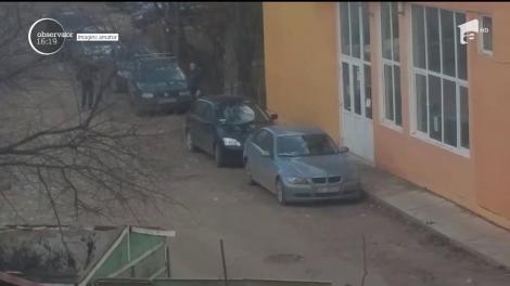 Proprietara câinilor Amstaff, care au atacat mai mulţi oameni, a reuşit să-şi recupereze unul dintre exemplare