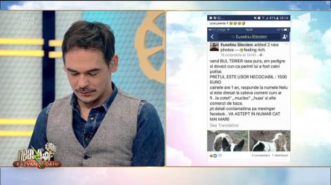 Dacă aveai impresia că ești AS la gramatică, citește mesajul zilei de pe Facebook: "Bună sînt în căutarea unui geob"