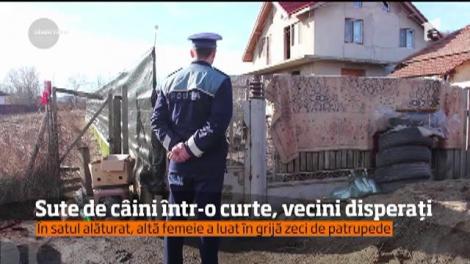 O familie din județul Buzău crește în curte aproape 300 de câini