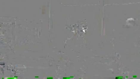 Actorii de la Hollywood cu origini româneşti