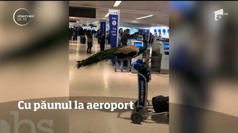 Imagini șocante în aeroport. Ce au descoperit angajații aeroportului la o pasageră: „Niciodată nu am văzut așa ceva!”