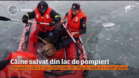 Intervenţie emoţionantă a pompierilor din Gorj