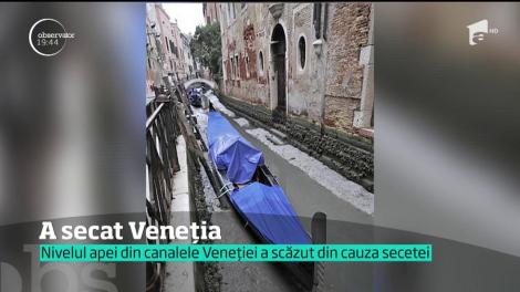 Imagini apocaliptice. Celebrele canale ale Veneției au secat!