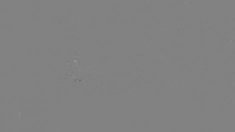 Mâncăm nejustificat de scump, susţin producătorii. Din ferma lor, până la raft, preţul produselor creşte şi de patru ori