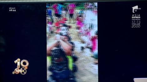 Imagini emoționante! O pisica din Rusia a adoptat opt pui de arici orfani. Micuții țepoși sunt alăptați de felină (VIDEO)