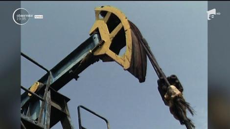 România a câştigat un proces de peste 73 de milioane de dolari