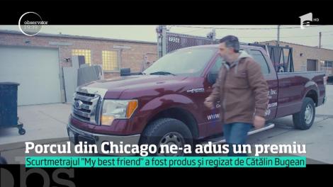 Porcul din Chicago ne-a adus un premiu