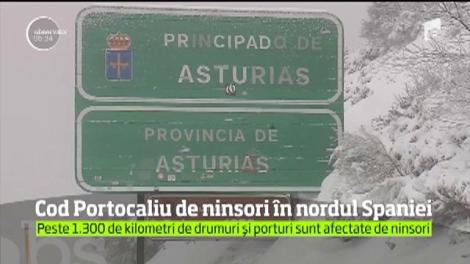 Cod Portocaliu de ninsori în nordul Spaniei