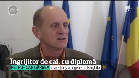 O nouă meserie înfloreşte în România: cea de îngrijitor de cai