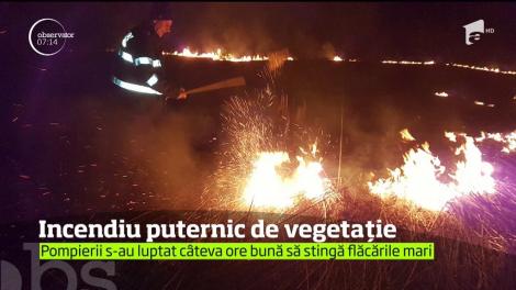 Zeci de hectare din Caraş Severin au fost distruse de repetate incendii de vegetaţie
