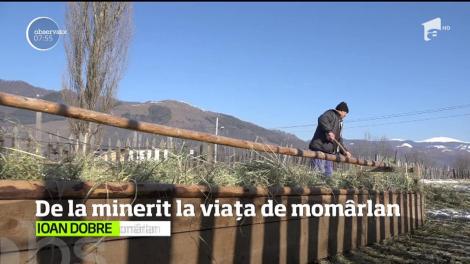 Momârlanii sunt cei mai vechi locuitori din Valea Jiului