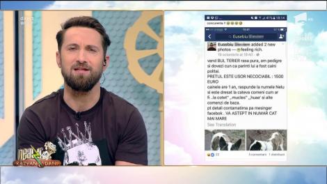 Răzvan şi Dani, amenintați pe Facebook! „Ăștia dăla atena1...Bregatitifă baieți că urmează răzpoi mare”