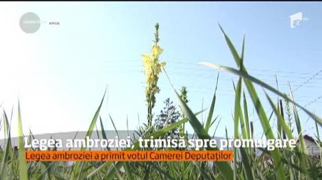 Legea ambroziei, trimisă spre promulgare