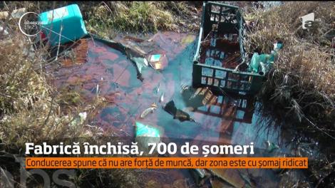 Cel mai mare angajator din Moldova Nouă îşi va închide fabrica. Sute de oameni vor rămâne șomeri