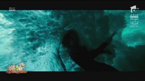 Vibe Drops feat. Chris Grey & Anna - ”Rose on fire”