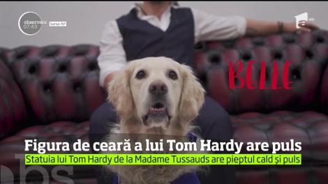 Surpriză pentru domnişoare, de Valentine's Day