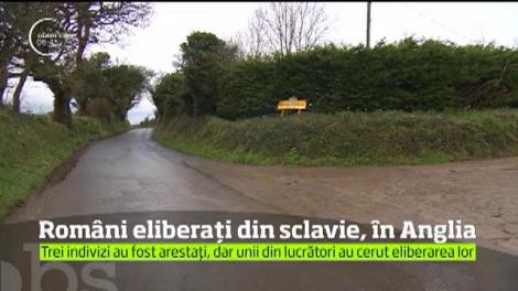 Poliţia britanică a descins la o fermă horticolă unde aproape 200 de muncitori străini, între care mai mulţi români, erau ţinuţi în condiţii de sclavie
