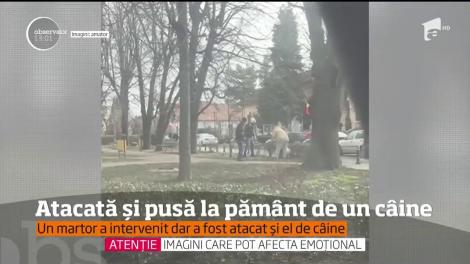 Atacată şi pusă la pământ de un câine în centrul oraşului