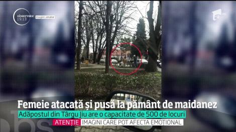 UPDATE! O femeie a fost atacată şi pusă la pământ de un câine în centrul oraşului Târgu Jiu