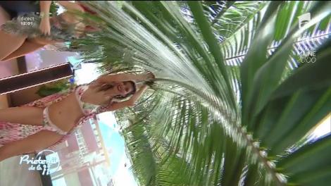 Laura Toc feat. DJ Rec - "Sentimente"