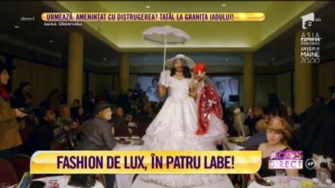 Prezentare de modă alături de căței împodobiți cu pene și diamante!