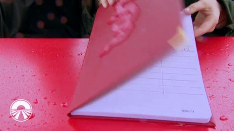 Corina, nevasta lui Drăgulescu, la un pas să o accidenteze pe Gina Pistol: "Finish-ul meu glorios a fost cu roatele în sus. N-am suferit nicio ruptură de bucă"