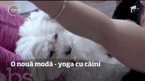 O nouă modă, yoga cu câini
