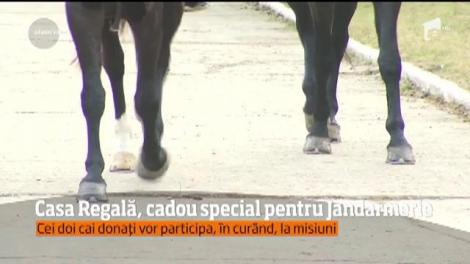 Cadou cu o simbolistică aparte pentru Jandarmeria Română! Casa Regală a dăruit doi cai Detaşamentului de Cavalerie