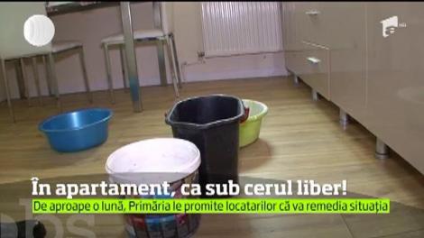 Apartament prin care se vede cerul! Nu este vreo construcţie modernă, ci locuinţa unui tânăr din Eforie Nord