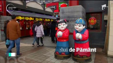 Ce ne aşteaptă în Anul Câinelui de Pământ: va fi unul al schimbărilor radicale. Astrologii prezic un o perioadă înfloritoare pentru TREI ZODII