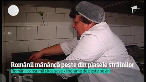 Românii mănâncă pește din plasele străinilor, deși Marea Neagră e plină de peşte