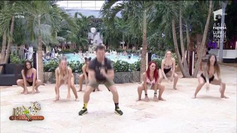 Atenție, cardiaci! Să ne concentrăm puțin asupra asistentelor lui Neby și la antrenamentul lor funcțional