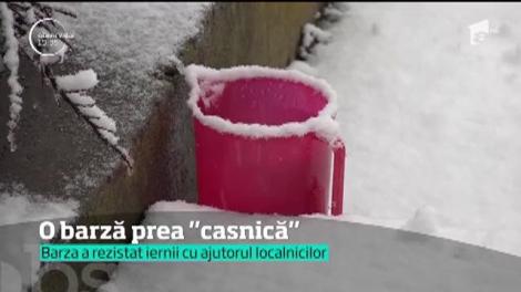 O barză care nu și-a părăsit cuibul nici iarna a devenit vedetă în Harghita