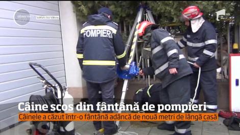 Câine scos din fântână de pompieri